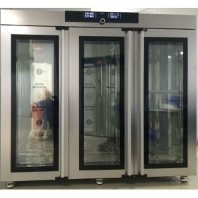 半導體低溫培養箱IPP2200plus